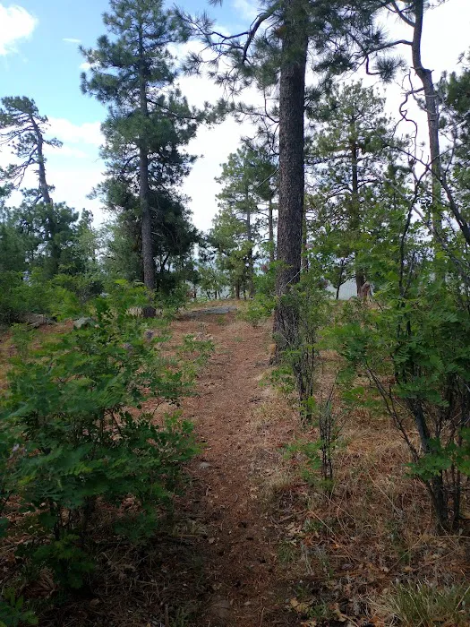 Rim Campground Picture 9