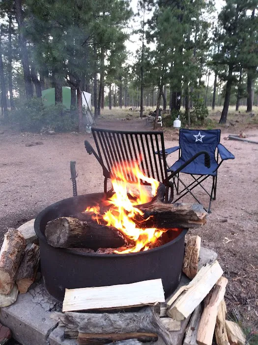 Rim Campground Picture 10