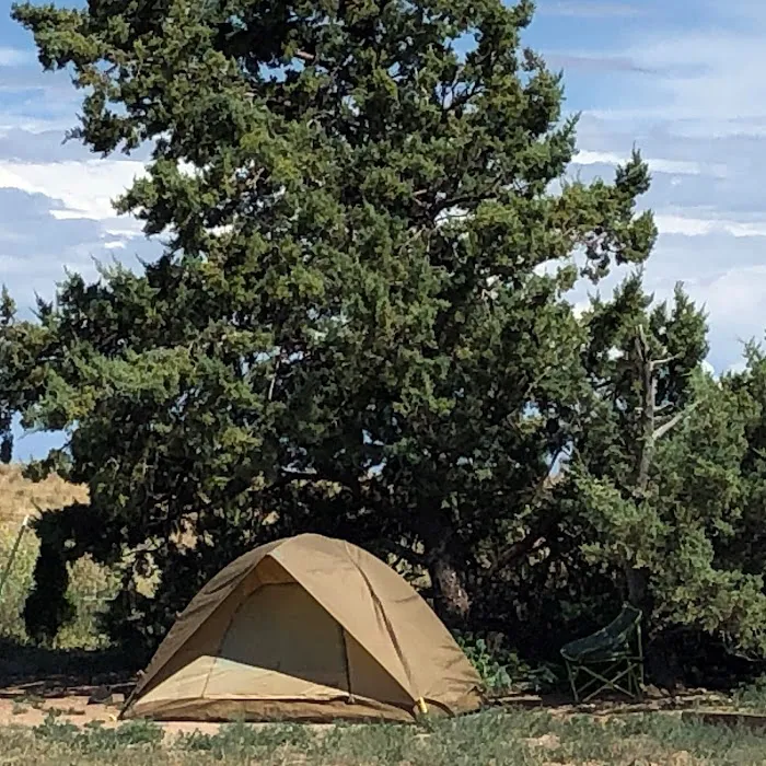 Seligman / Route 66 KOA Journey Picture 8