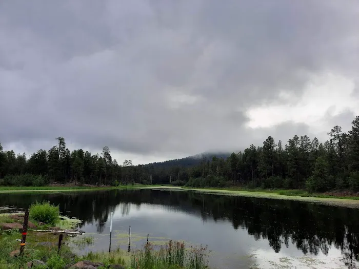 Cooley Lake Campground Picture 4
