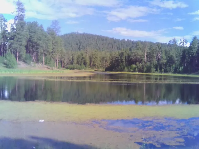Cooley Lake Campground Picture 6