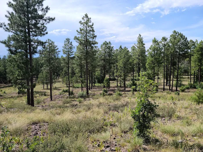 Brown Creek Campground Picture 1