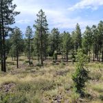 Brown Creek Campground
