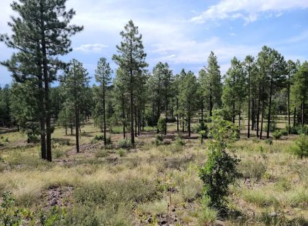Brown Creek Campground