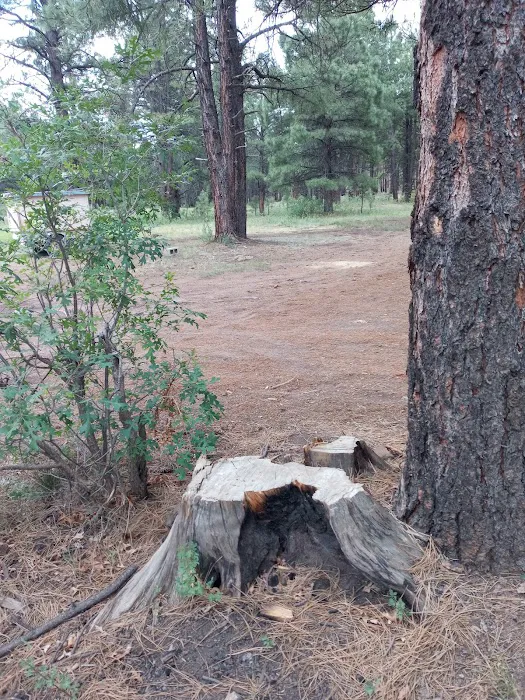 Brown Creek Campground Picture 7