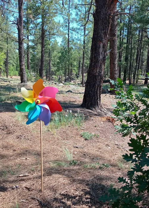 Brown Creek Campground Picture 4