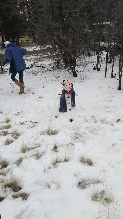 Brown Creek Campground Picture 2