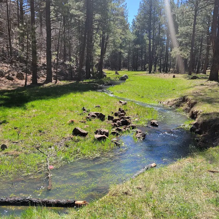 Brown Creek Campground Picture 8