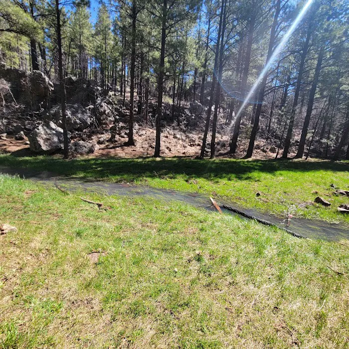 Brown Creek Campground Picture 10