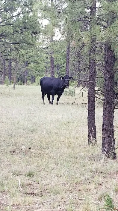 Brown Creek Campground Picture 9