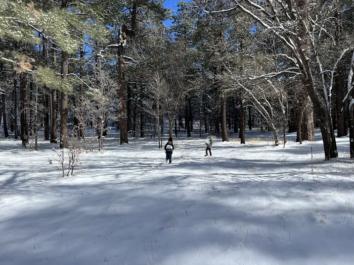 Los Burros Campground Picture 4