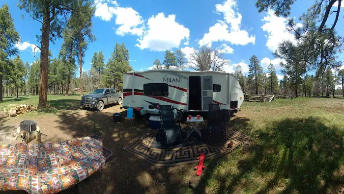 Los Burros Campground Picture 3