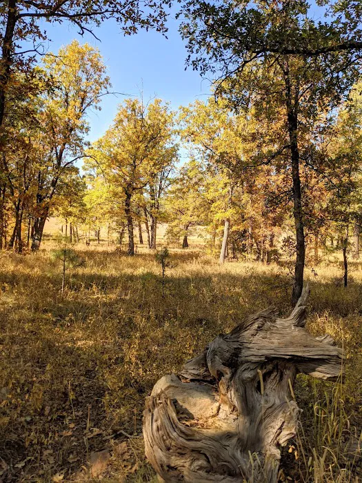 Los Burros Campground Picture 7
