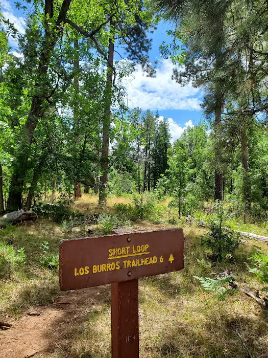 Los Burros Campground Picture 6