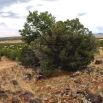 Ridge Valley Ranch