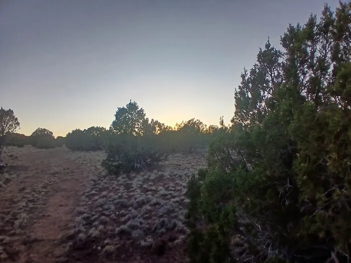 Ridge Valley Ranch Picture 6