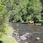 Upper Log Campground