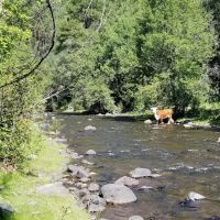 Upper Log Campground ico