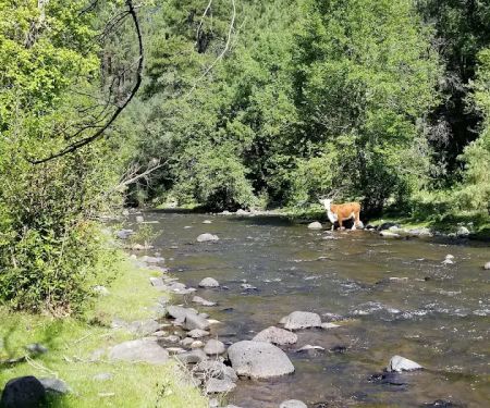 Upper Log Campground