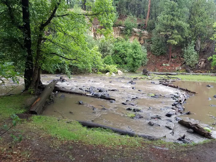 Upper Log Campground Picture 3