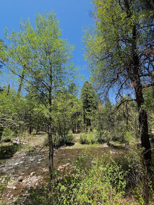 Upper Log Campground Picture 4