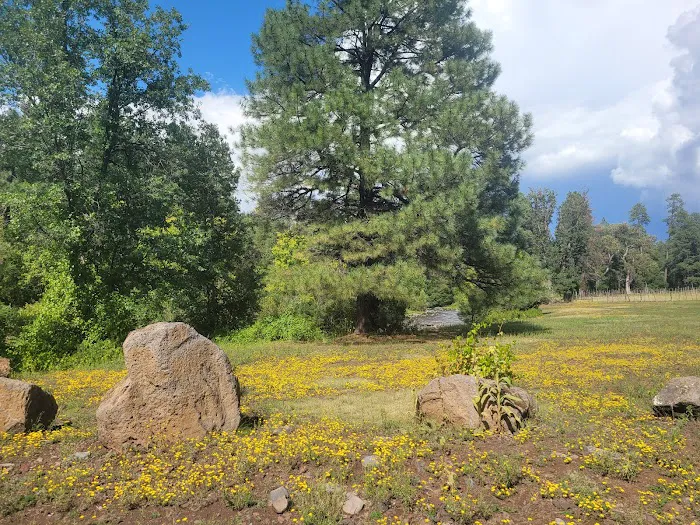 Upper Log Campground Picture 8
