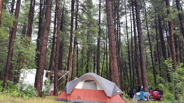 Upper Log Campground Picture 9