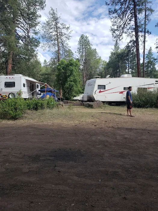 Lower Log Road Campground Picture 1