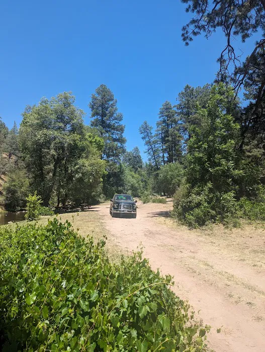 Lower Log Road Campground Picture 2
