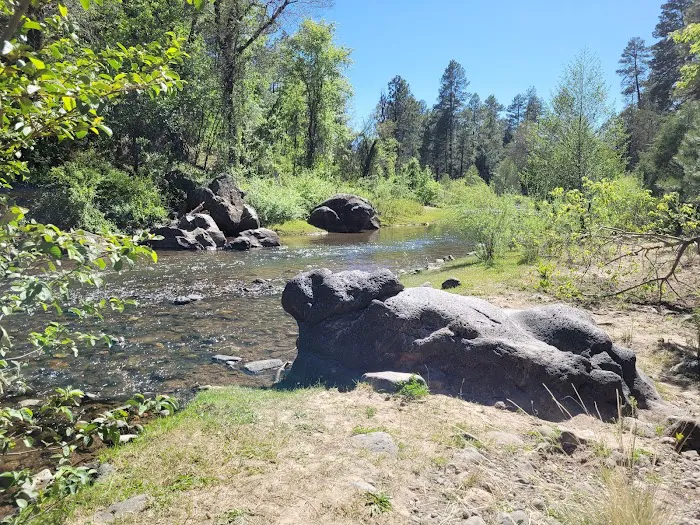Lower Log Road Campground Picture 5