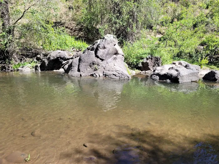 Lower Log Road Campground Picture 10