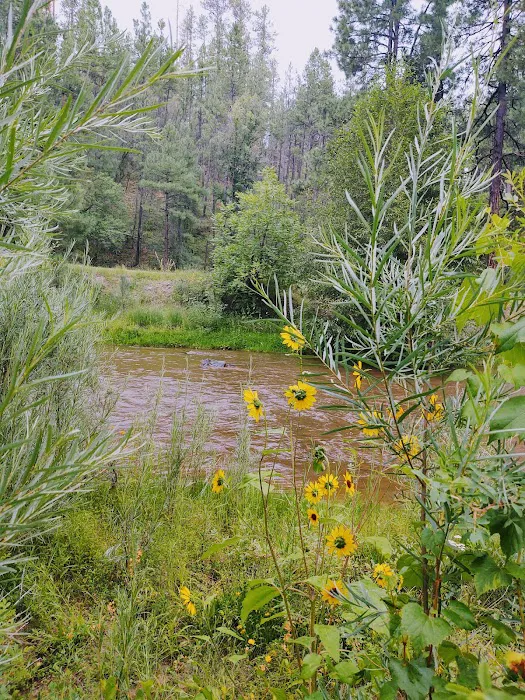 Lower Log Road Campground Picture 8
