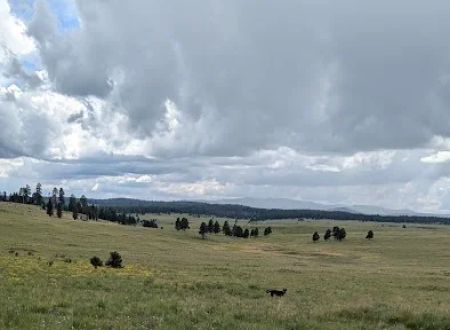 White Mountain Recreation Camp