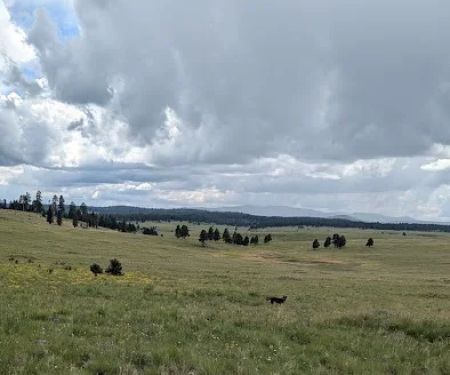 White Mountain Recreation Camp