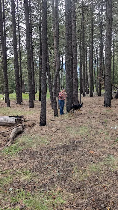 White Mountain Recreation Camp Picture 3