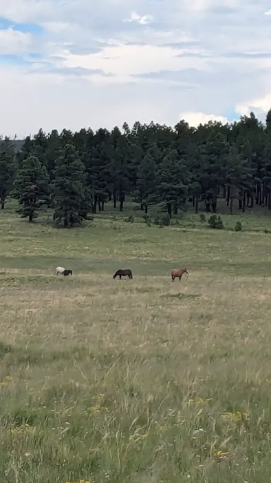 White Mountain Recreation Camp Picture 7