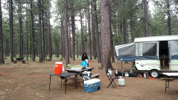 Shush Be Tou Lake Campground Picture 4