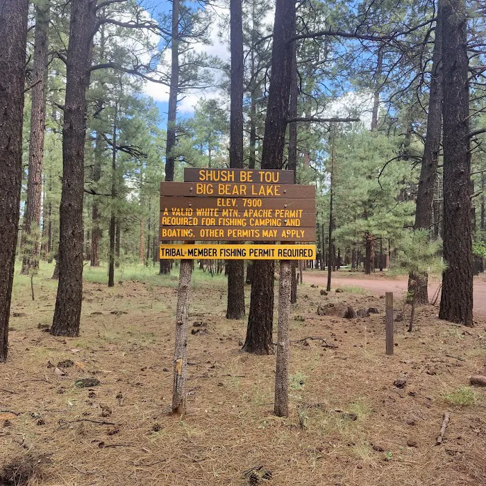 Shush Be Tou Lake Campground Picture 6