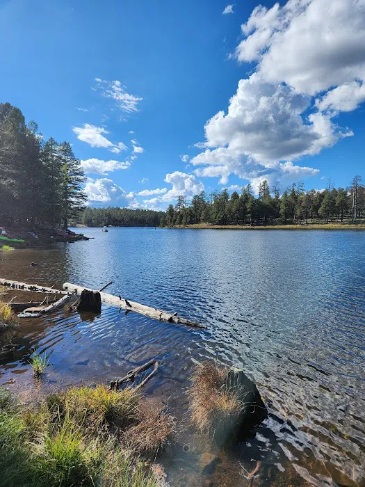 Spillway Campground Picture 1