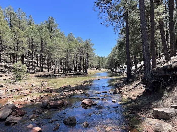 Spillway Campground Picture 4