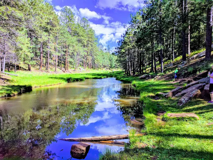 Spillway Campground Picture 6