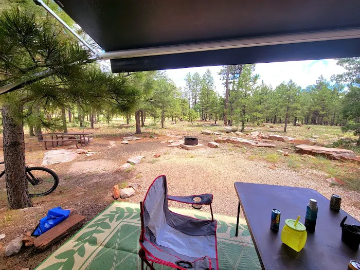 Woods Canyon Lake Group Campground Picture 4