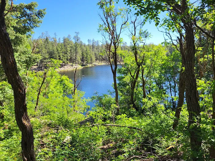 Woods Canyon Lake Group Campground Picture 9