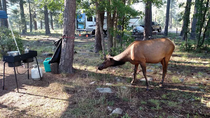 Aspen Campground Picture 5