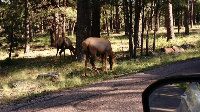Aspen Campground Picture 10