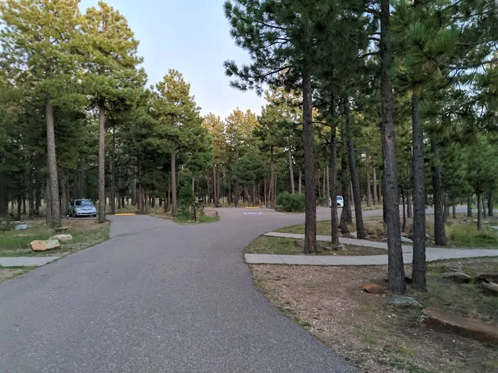 Crook Campground Picture 1