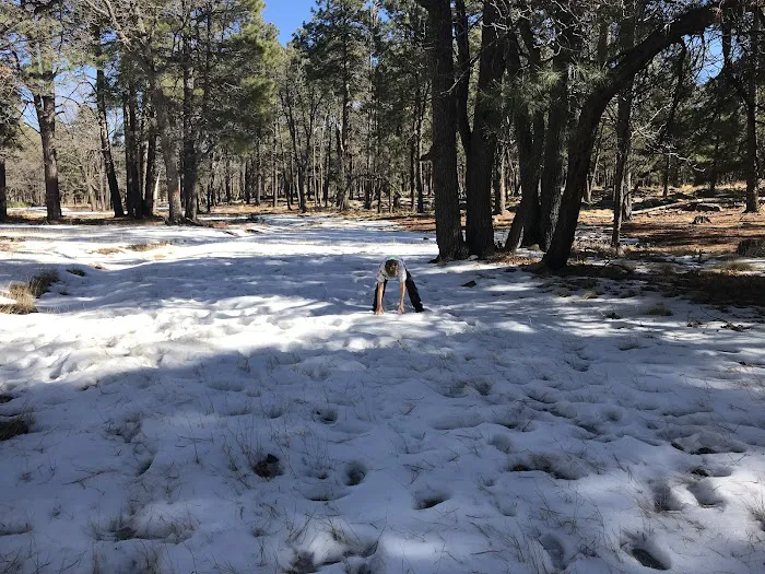 Crook Campground Picture 7
