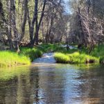 Haigler Canyon Campground