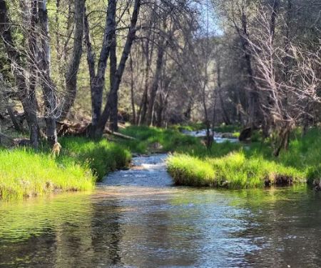 Haigler Canyon Campground