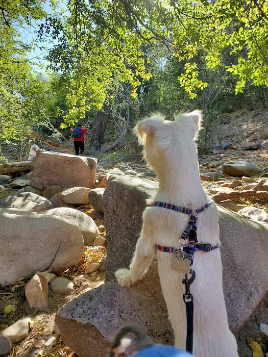 Haigler Canyon Campground Picture 3